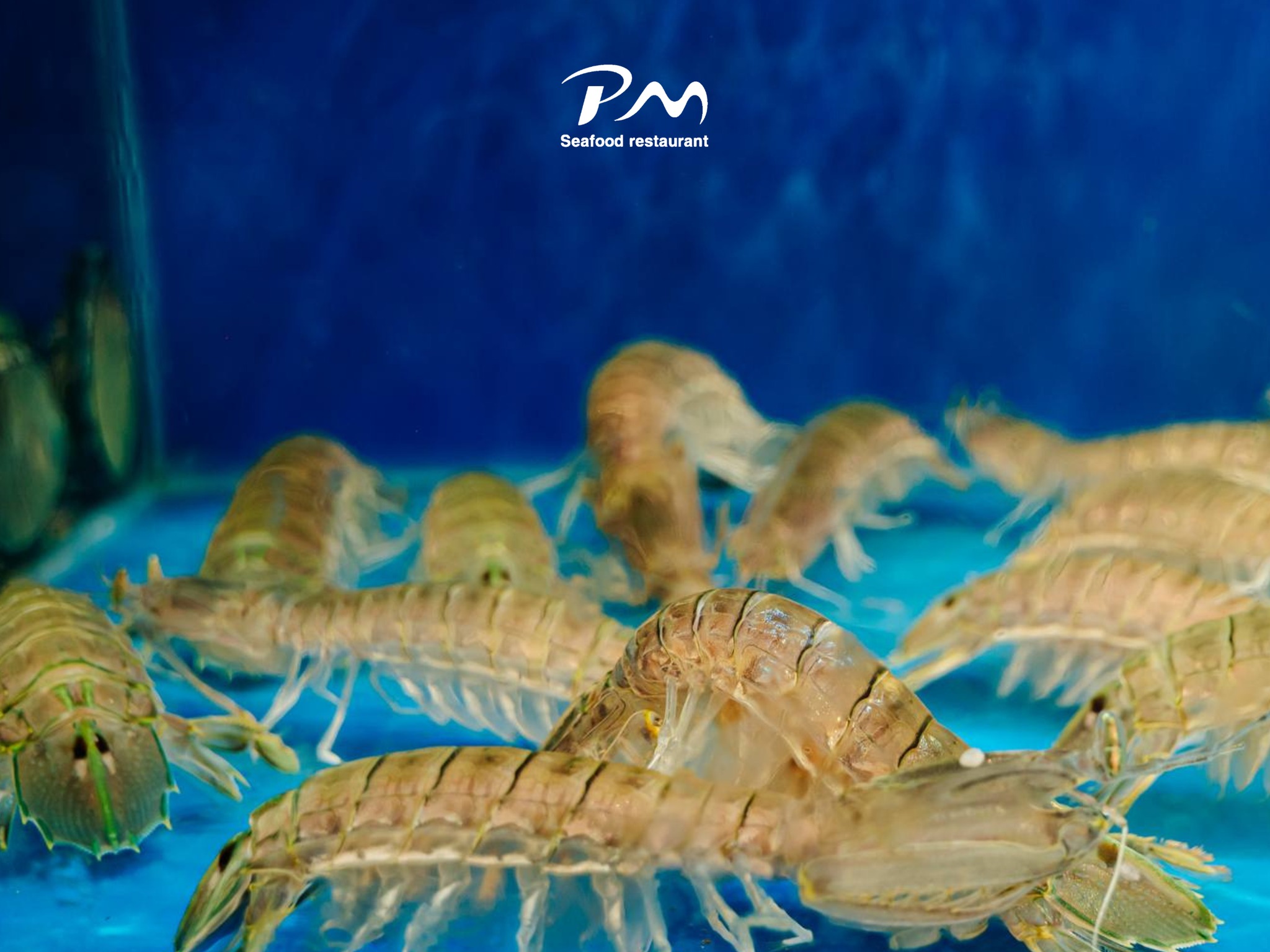 Hai-san-tuoi-song-Phuoc-My-Seafood-5