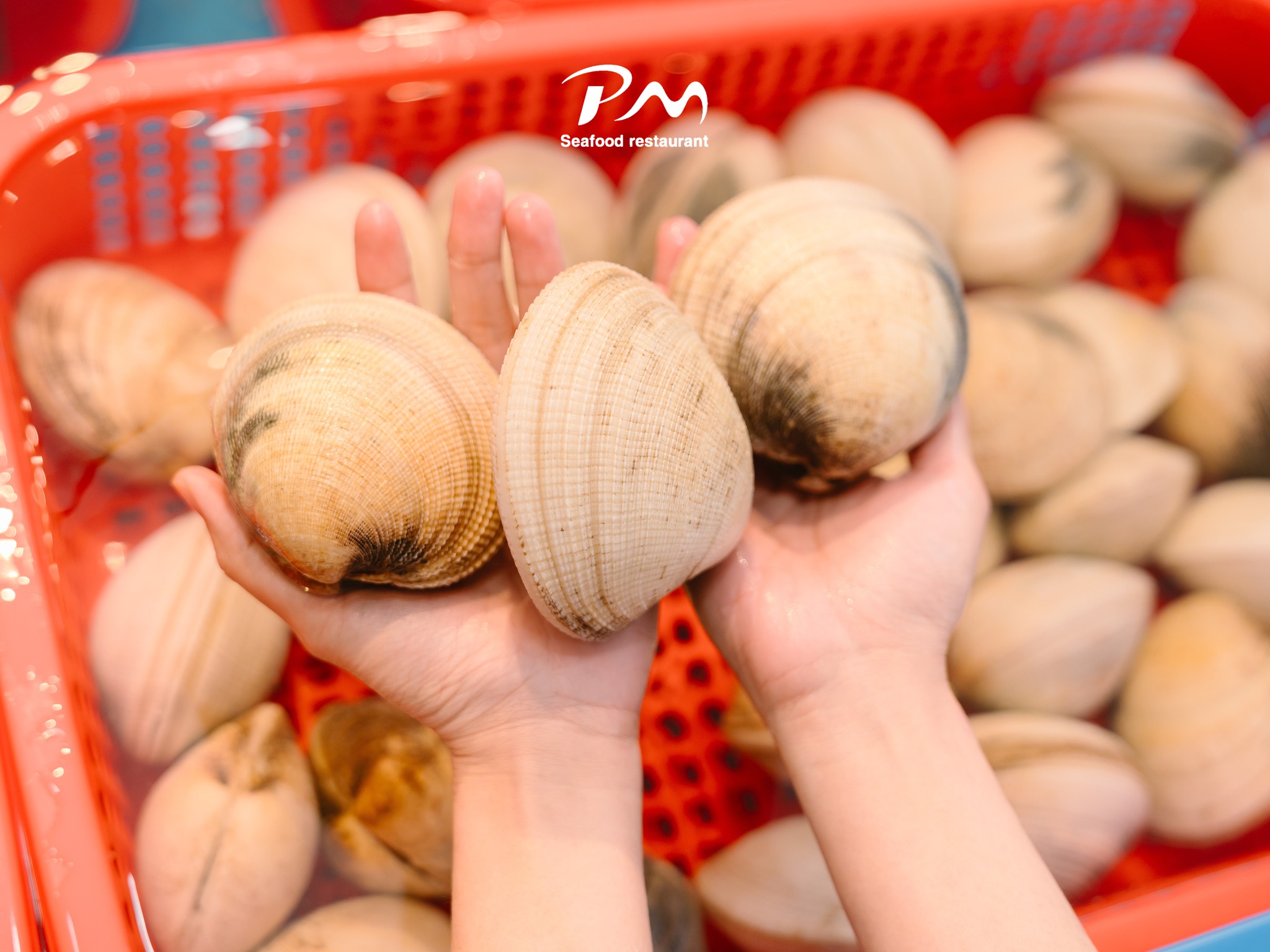 Hai-san-tuoi-song-Phuoc-My-Seafood-6