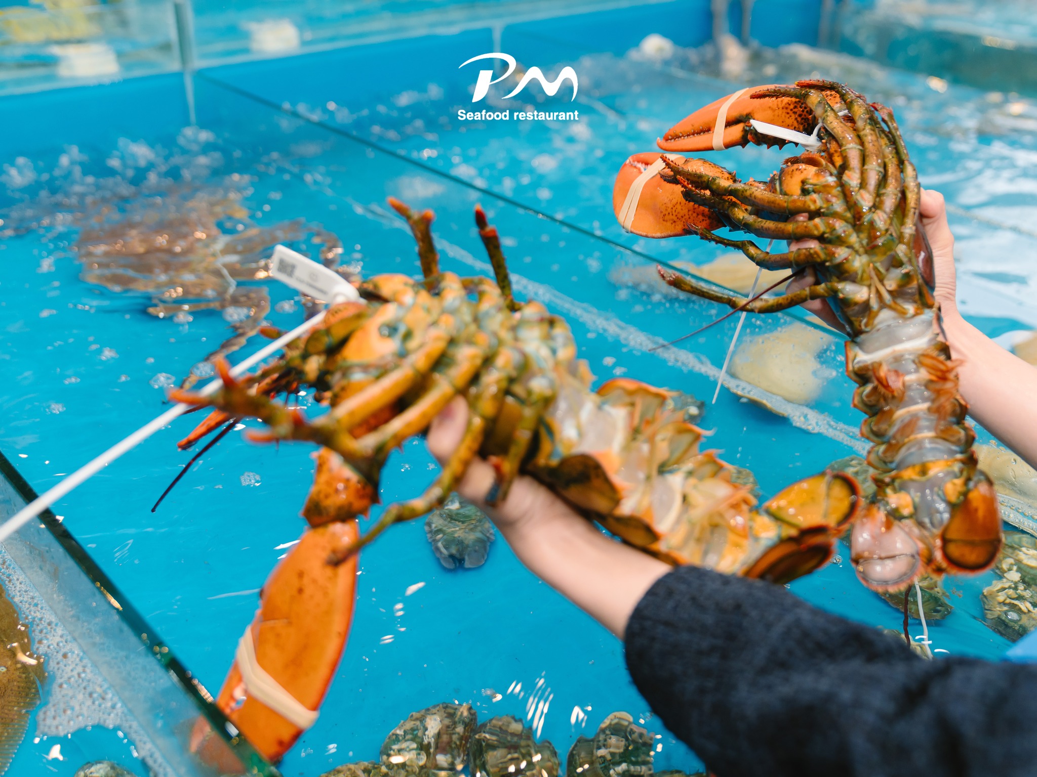 Hai-san-tuoi-song-Phuoc-My-Seafood-7