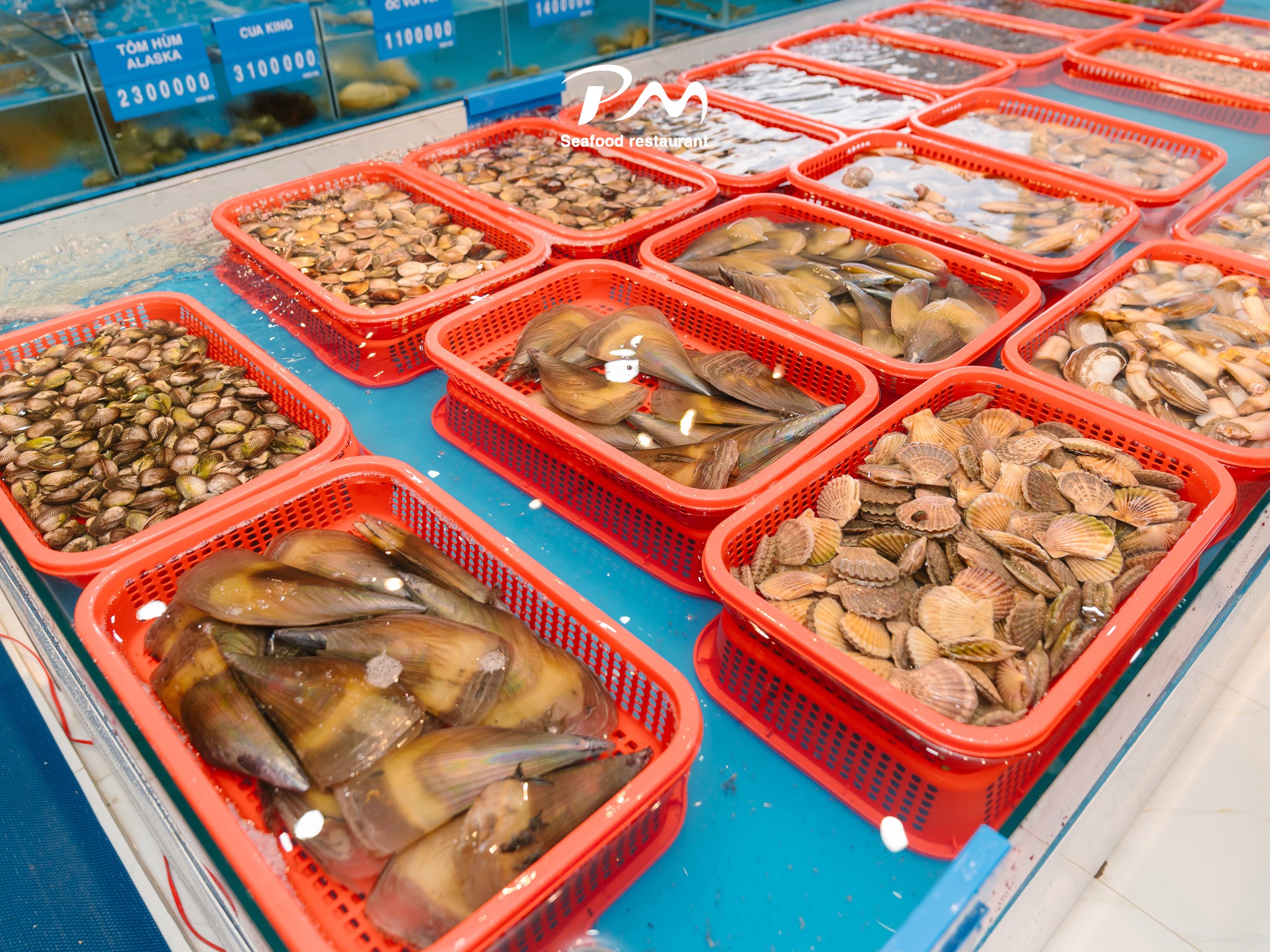 Hai-san-tuoi-song-Phuoc-My-Seafood-8