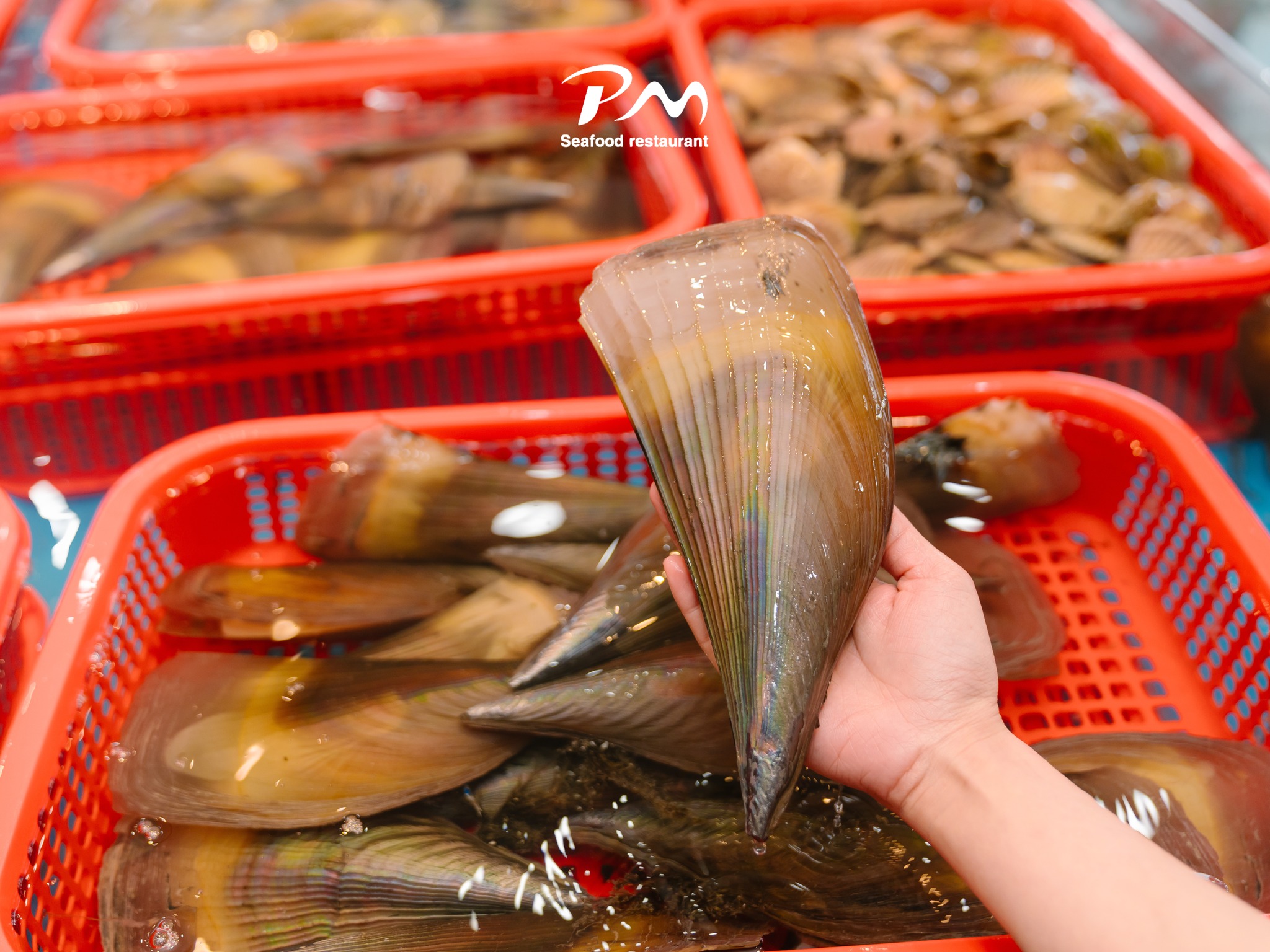 Hai-san-tuoi-song-Phuoc-My-Seafood-9