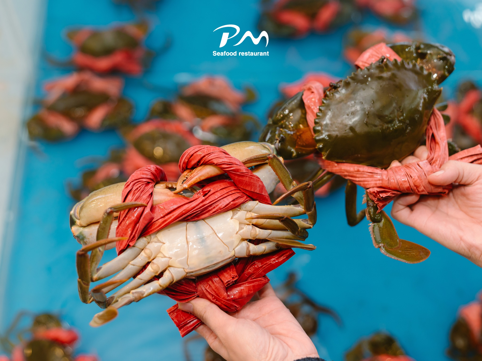 Hai-san-tuoi-song-Phuoc-My-Seafood